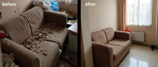 Before rodent treatment