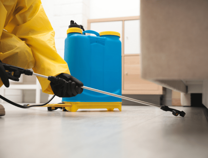 Eco-friendly pest control